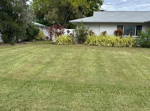 Patricia T.'s lawn service service result