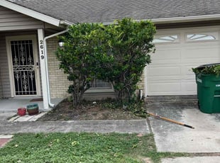 Tracey T.'s Bush Trimming service result