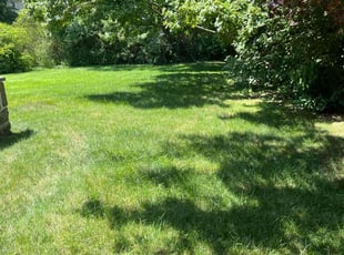 Terrance G.'s turf maintenance service result