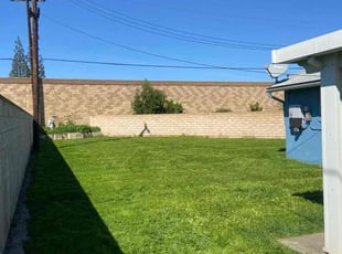 Alex K.'s grass maintenance service result