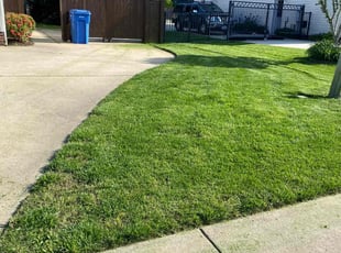 Alicia C.'s turf maintenance service result