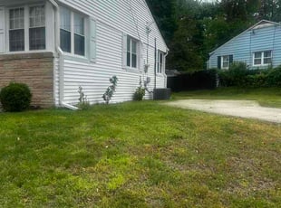 Evelyn B.'s turf care service result