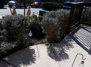 Howard S.'s Bush Trimming service result