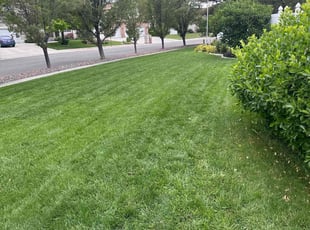 Cindy H.'s lawn care services service result