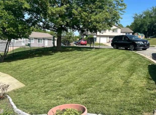 Scott B.'s grass maintenance service result