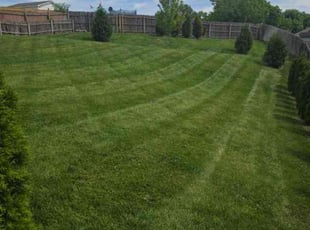 Frances C.'s lawn care services service result
