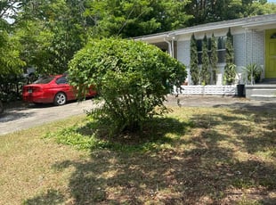 Blake P.'s Bush Trimming service result