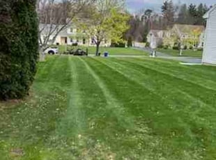 Joseph R.'s grass maintenance service result