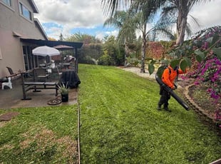 Wynter J.'s lawn service service result