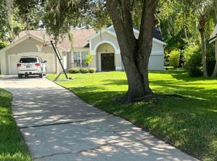 Lisa P.'s lawn maintenance service result