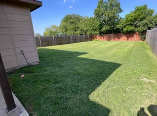 Frank T.'s grass maintenance service result