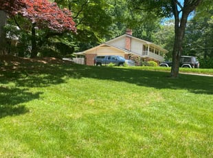 Derrick M.'s lawn care service result
