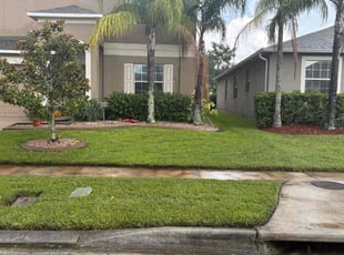 Shane C.'s grass cutting service result