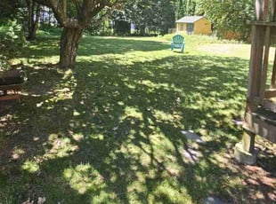 Jeffrey F.'s grass cutting service result