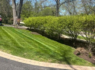 Jewel S.'s lawn service service result