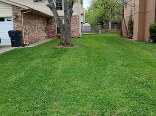 Jamie S.'s turf maintenance service result