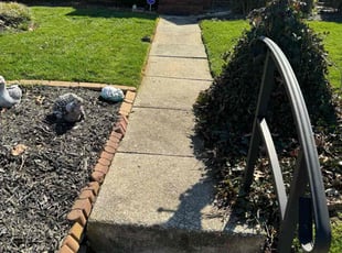 Rodolfo U.'s turf care service result