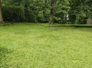 Sharon B.'s lawn maintenance service result