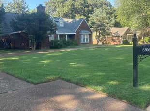 Deborah J.'s turf care service result