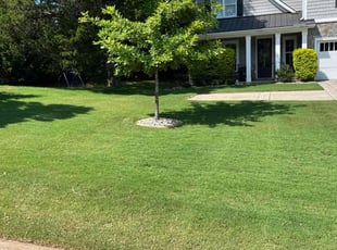 Rochelle M.'s lawn care services service result