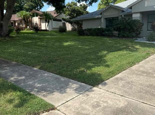 Fame C.'s Bush Trimming service result