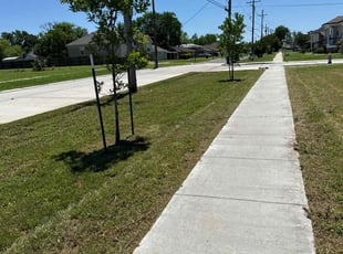 Geralyn T.'s grass maintenance service result