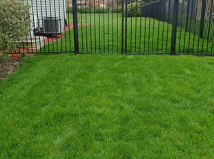 Beth M.'s turf maintenance service result
