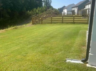 Aaron O.'s lawn maintenance service result
