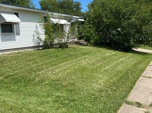 Alison F.'s lawn maintenance service result