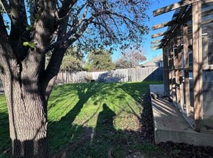 Michele A.'s grass maintenance service result