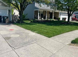 Nancy C.'s lawn care service result