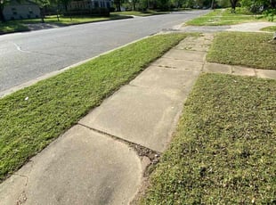 Alexis M.'s grass maintenance service result