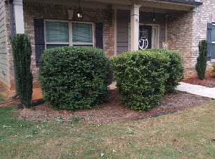 Katherine C.'s Bush Trimming service result