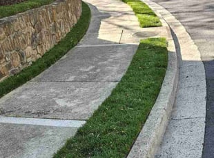 Bailey H.'s lawn maintenance service result