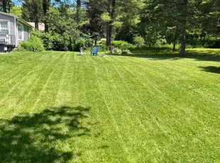 Brock F.'s grass maintenance service result