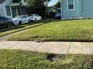 Deana G.'s grass cutting service result