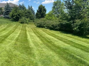 Carol S.'s lawn maintenance service result