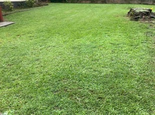 Corry J.'s grass maintenance service result