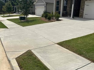 Jaime D.'s turf care service result