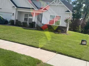 Maria N.'s lawn care services service result