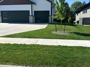 Lynette A.'s lawn service service result
