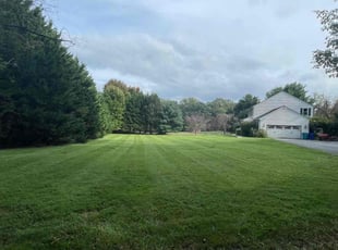 Thomas S.'s turf care service result