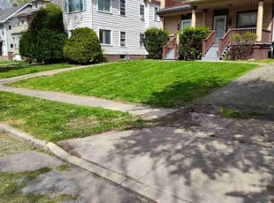 Andesia D.'s turf care service result