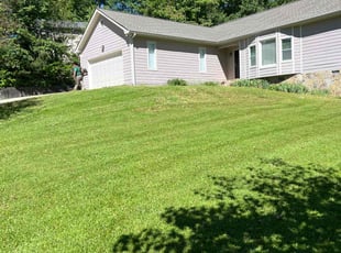 Lisa N.'s lawn service service result