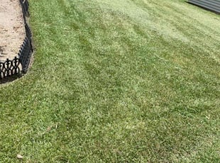 Mariam K.'s lawn care service result