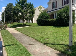 Porshia C.'s lawn service service result