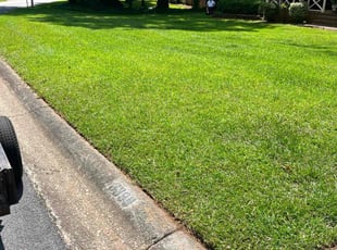Crystal E.'s lawn care services service result