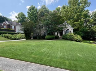 Yanchun L.'s lawn maintenance service result