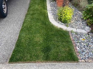 Erica K.'s lawn care service result