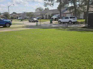Kenneth W.'s lawn care service result